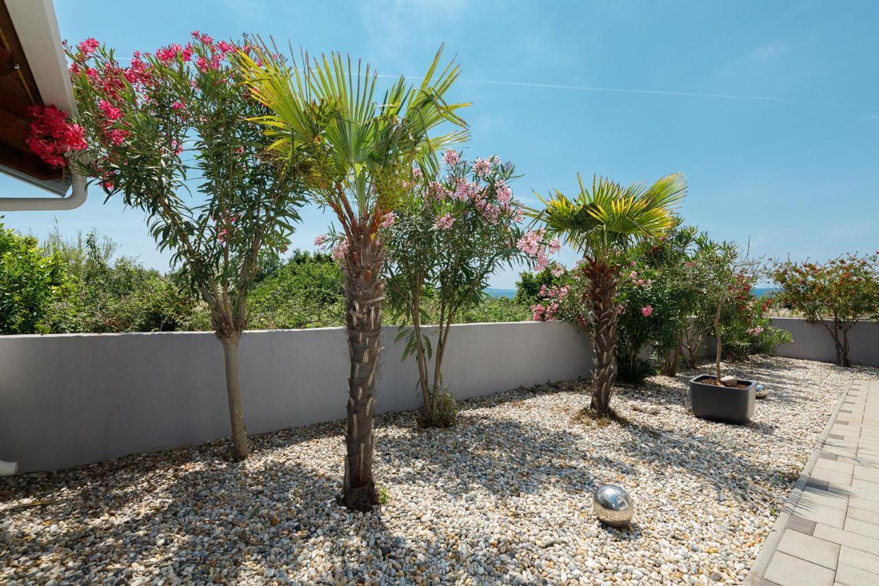 Malo Ferienvilla Privlaka, Pool, Boje, Wi-Fi, Wallbox Privlaka  Buitenkant foto